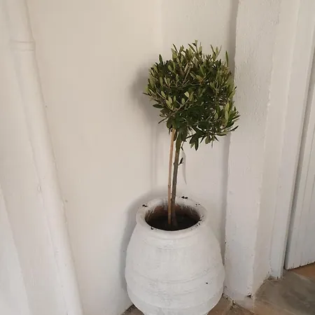 度假居 Evie's Beach Studio 阿查拉维